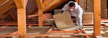 Eco-Friendly or Green Insulation Solutions in Alamo, TX